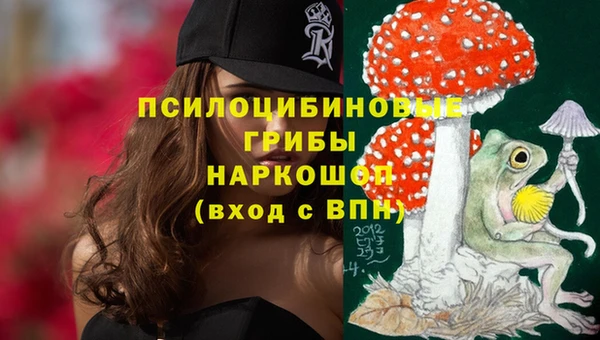 кокс Алексин