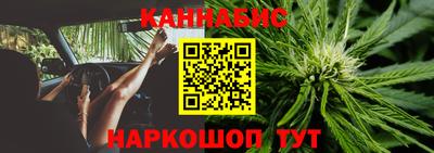 сатива Балаково