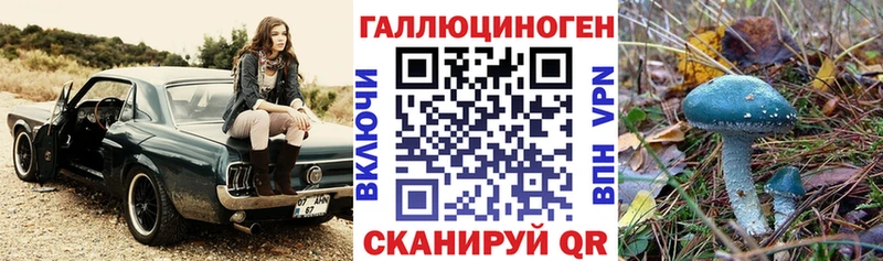 МЕГА зеркало  Ачинск  Псилоцибиновые грибы Magic Shrooms 