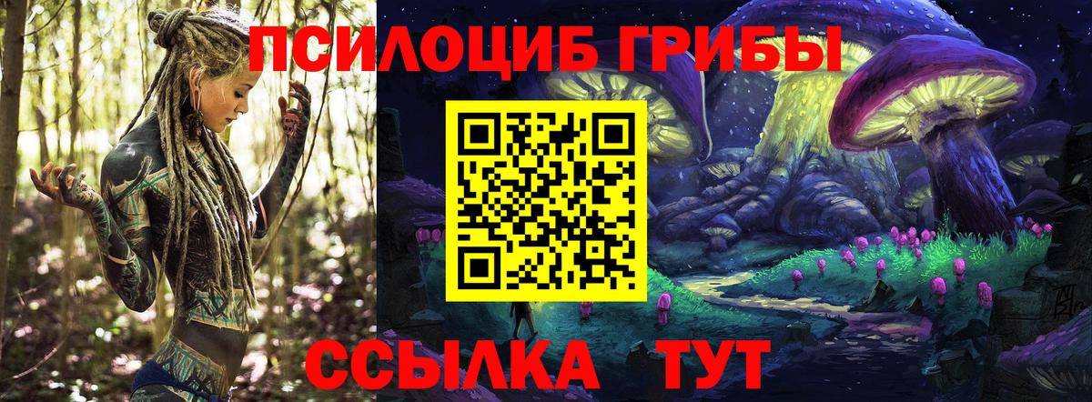 Галлюциногенные грибы Psilocybe  Вход с VPN  Галлюциногенные грибы Psilocybine cubensis  Ачинск 